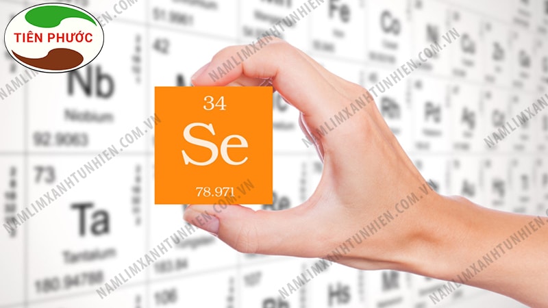 Selenium chính là khoáng chất selen